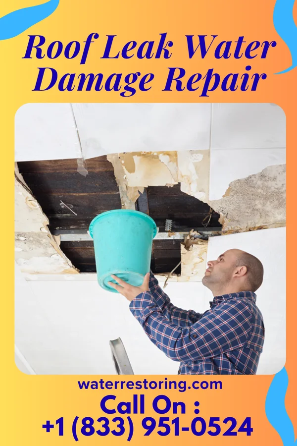 Roof Leak Water Damage Repair in Oak Ridge, TN